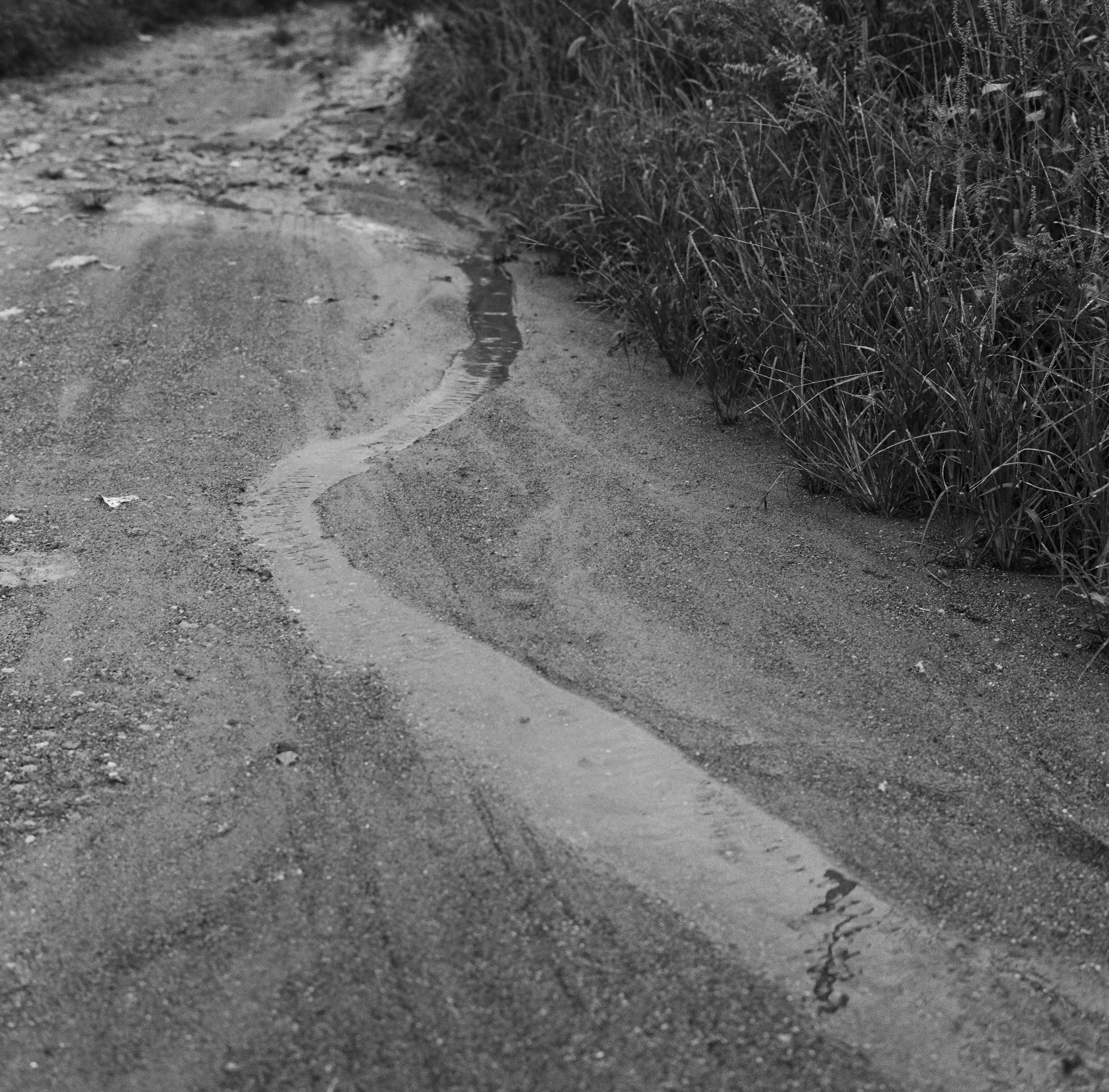 Between Mountains and Sea 12