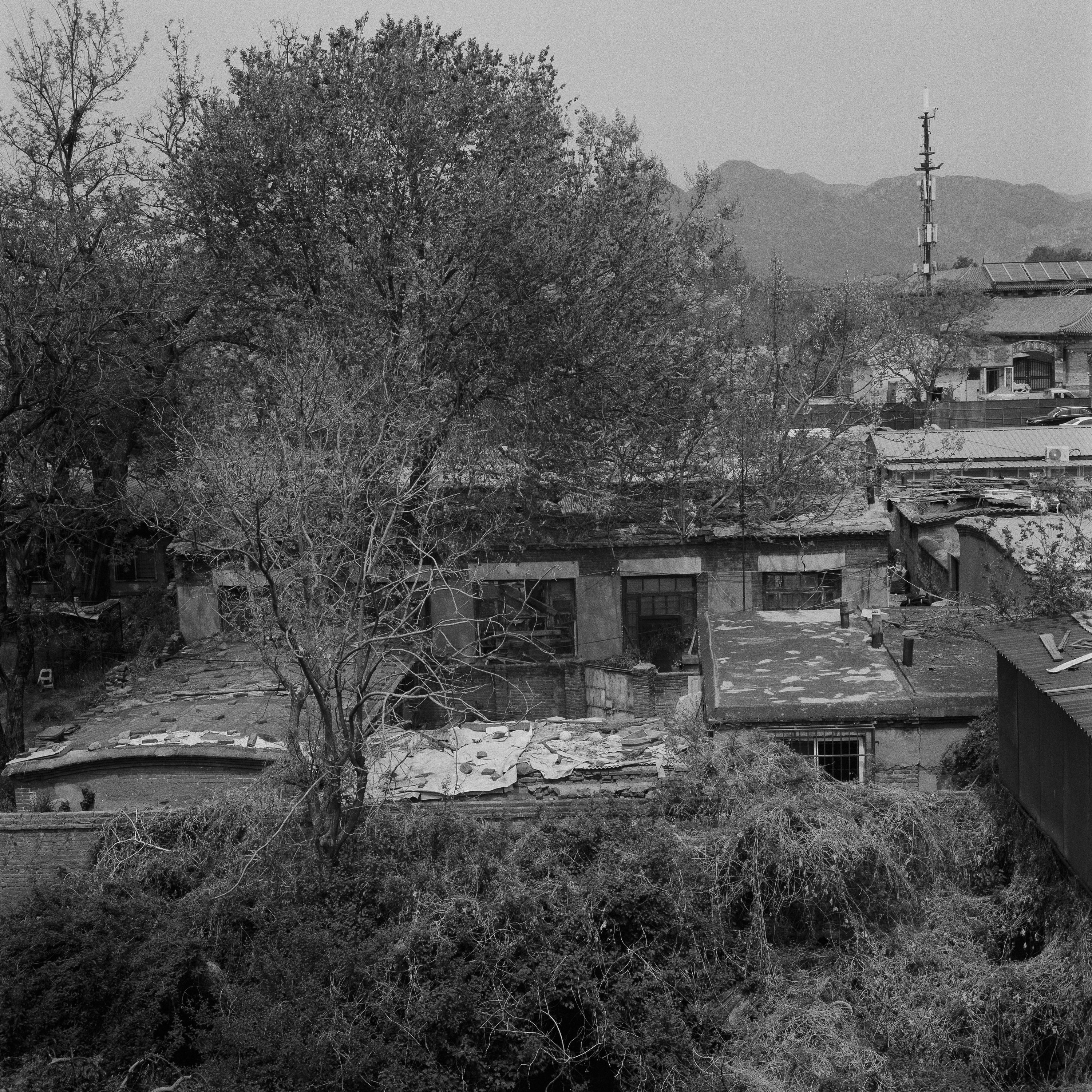 Between Mountains and Sea 48