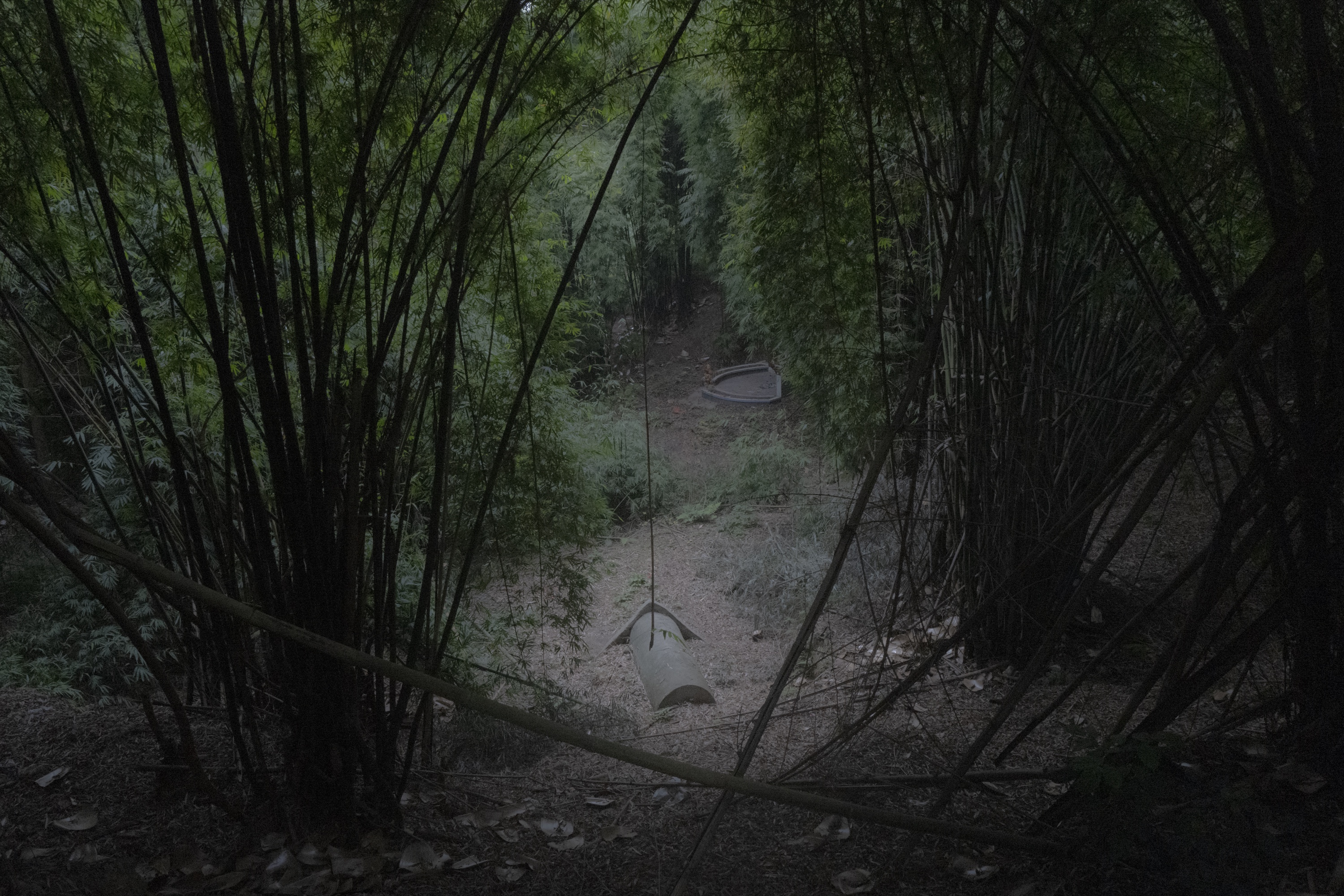Lost in the Mist 17