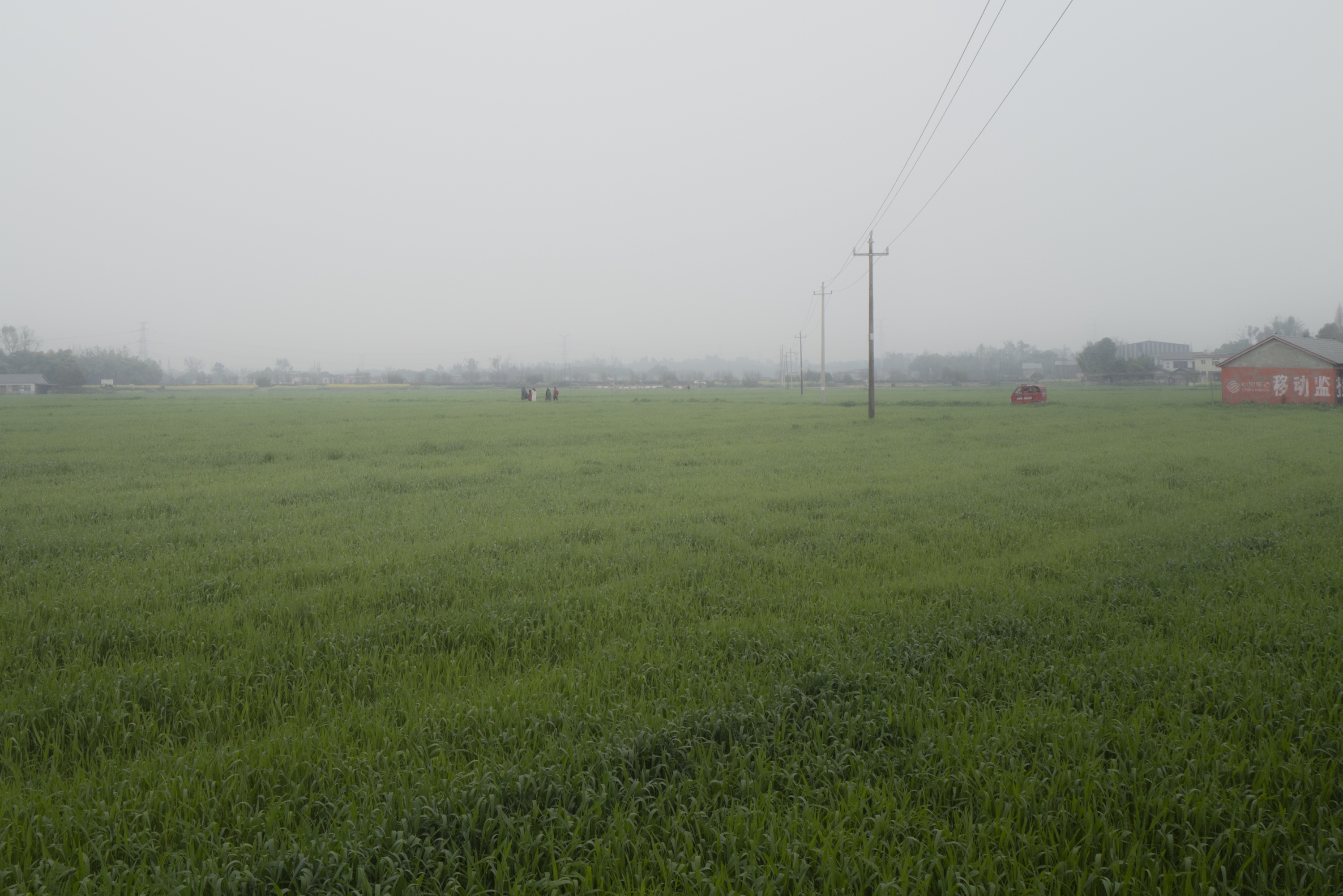 Lost in the Mist 41